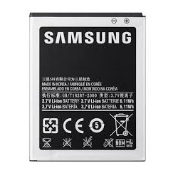 Batterie Original Samsung S2